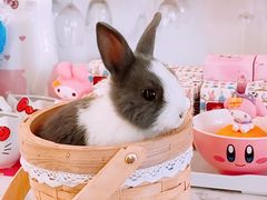 -大象厨房(重庆道店)