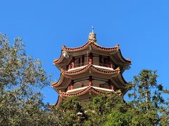 -深圳仙湖植物园