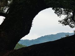 -上坦村