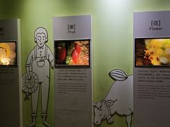 -歌斐颂巧克力小镇