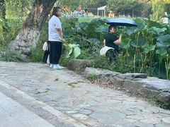 -北陵公园