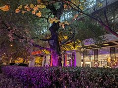 -七彩云南庆沣祥茶庄(金融街店)