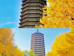 -玲珑塔公园