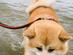 -金梦海湾浴场