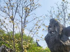 -绳金塔