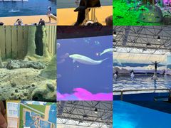 -秦皇岛乐岛海洋王国