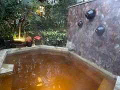 -天目湖涵田半山温泉