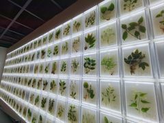 -广东中医药博物馆