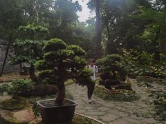 -成都武侯祠博物馆