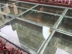 -北京路步行街-千年古道遗址