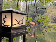 -侨美·唐荔园·40年地道粤菜