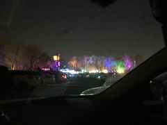 -枫花园汽车电影院(朝阳公园店)