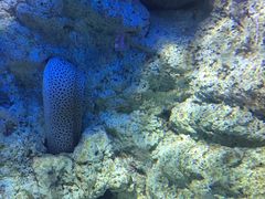 -福州罗源湾海洋世界旅游区