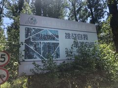 -顺鑫绿色度假村