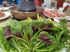 -阳坊大都涮羊肉(阳坊总店)