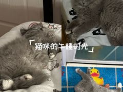 -联合动物医院(光谷诊疗中心)