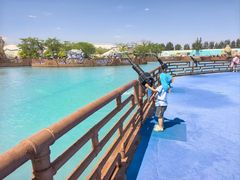 -秦皇岛乐岛海洋王国