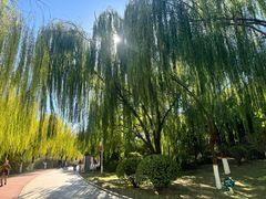 -南翠屏公园