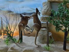 -西霞口神雕山野生动物世界