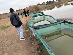 -上海都市菜园