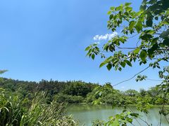 -青龙山国家森林公园