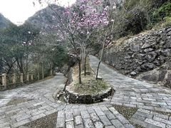 -温州永嘉书院