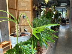 -一尺花园(首钢店)