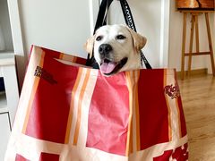 -大芊金重庆串串火锅(南京路店)