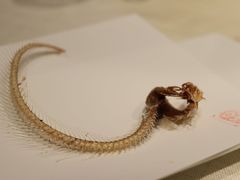 -子福慧(虹桥店)
