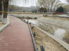 -河北省园博园
