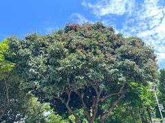 -广州神农草堂中医药博物馆