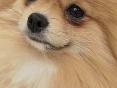 -怪兽屋·羊驼·猫咖·狗咖(俊华广场店)