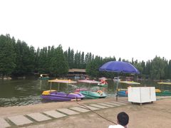 -秀丽东方