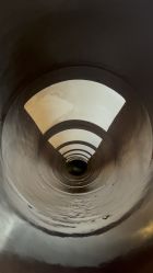 -卡通尼·Safari非洲探索乐园·生日会(金桥国际商业广场店)