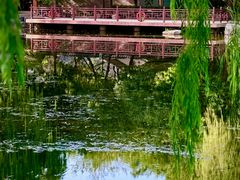 -玲珑塔公园