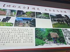-天全县三土司椒麻鸡餐厅