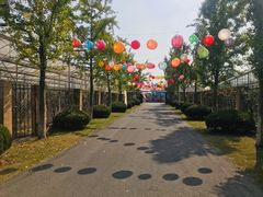 -菊园百果园