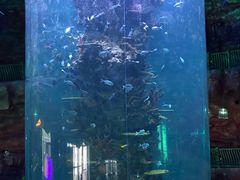 -青岛嘉年华主题乐园