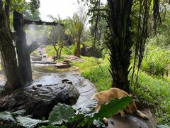 -海南热带野生动植物园