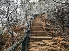 -梧桐山风景名胜区