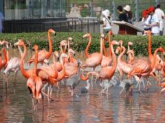 -石家庄市动物园