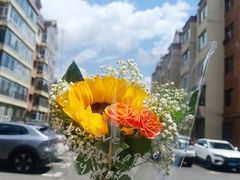 -大自然花鸟鱼虫市场