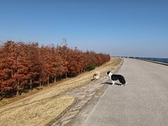 -南汇嘴观海公园