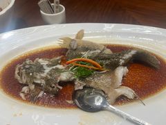 -老绍兴养和饭店(向阳不夜城店)
