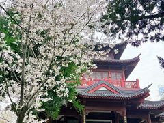 -堤角公园