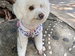 -芭比堂动物医院广州顽皮分院