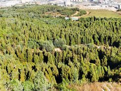 -长虫山生态公园风景林