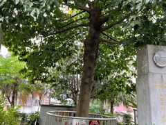 -广州神农草堂中医药博物馆