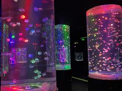 -邯郸海洋世界