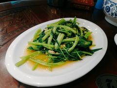 青菜-长平肥姐白粥·海鲜打冷